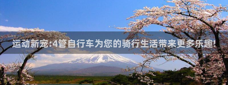 海南yy易游体育官网下载发展怎么样：运动新宠:4管自行车为您