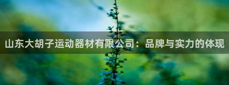 yy易游体育官网下载招商电话是多少：山东大胡子运动器