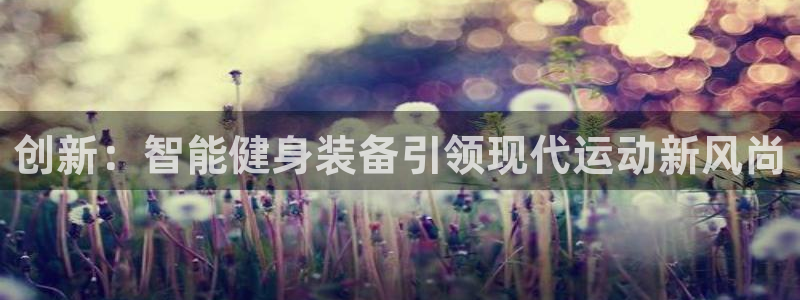 yy易游体育官方正版app新能源