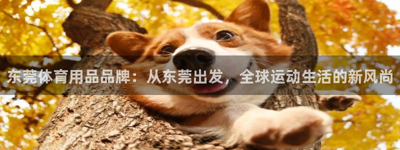 yy易游体育官网下载平台：东莞体育用品品牌：从东莞出发，全球