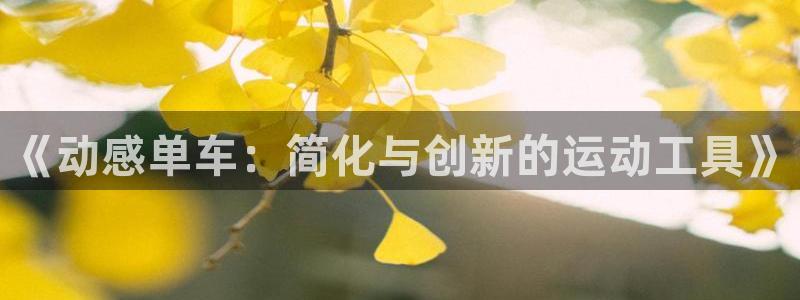 yy易游体育官网下载平台注册要钱吗是真的吗：《动感单车：简化