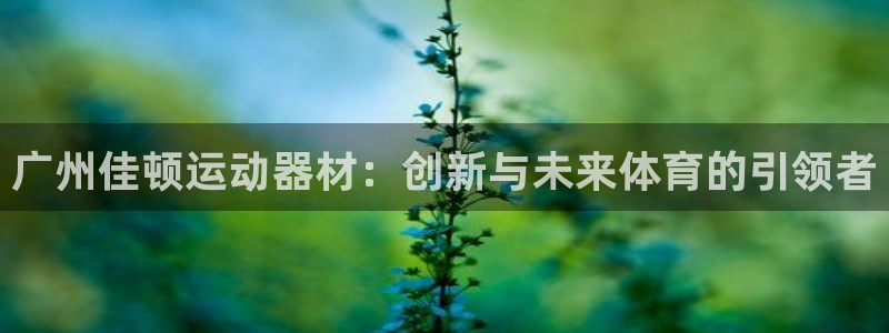 yy易游体育官方正版app娱乐平台：广州佳顿运动器材：创新与