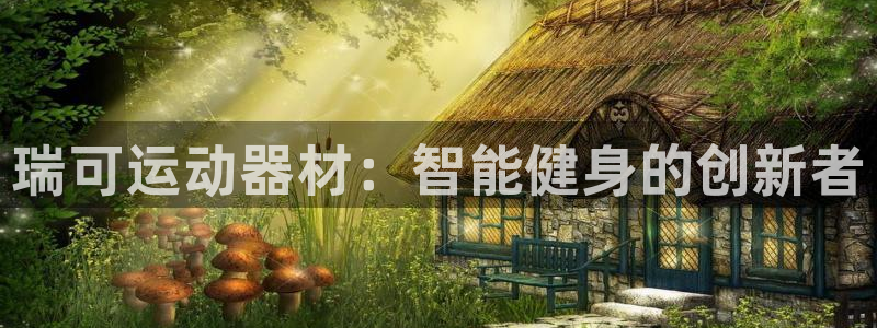 yy易游体育官方正版app娱乐是那个系列的台子：瑞可运动器材